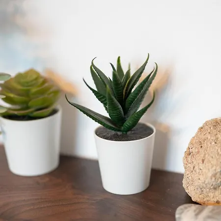 דירה Bellagio Napa איה נאפה