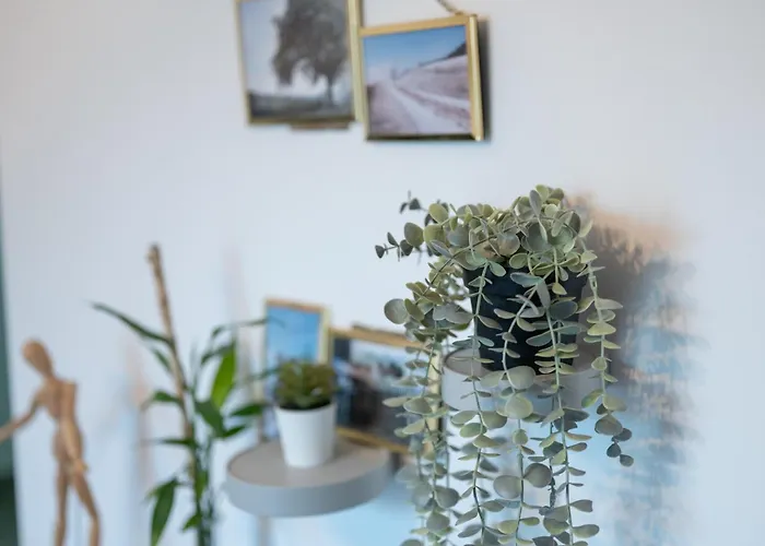 Apartamento Bellagio Napa