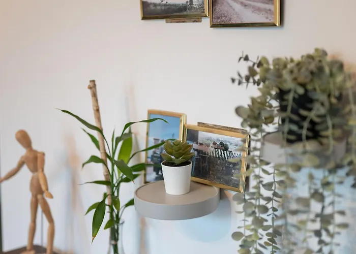 Bellagio Napa * Ayia Napa