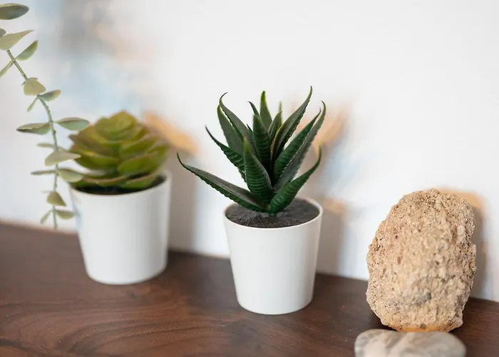 Apartamento Bellagio Napa Ayia Napa