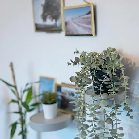 Appartamento Bellagio Napa