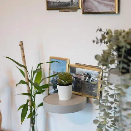 Bellagio Napa * Ayía Nápa