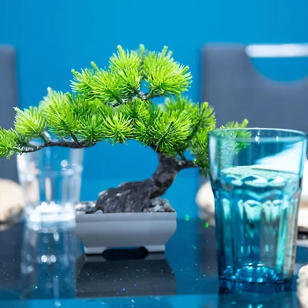 Appartement Bellagio Napa *